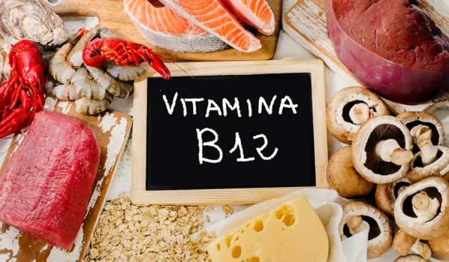 Vitamina B12: proprietà e benefici