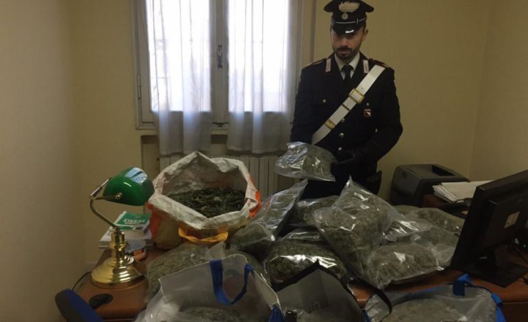 Reggio Emilia, sequestrati 20 chili di droga