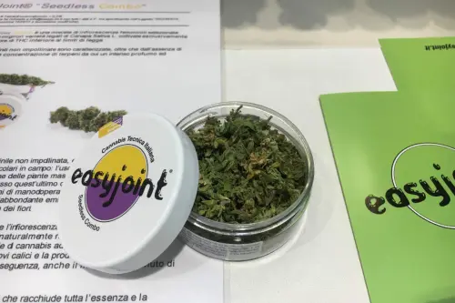 EasyJoint, la cannabis light nata a Parma sbarcherà in Canada