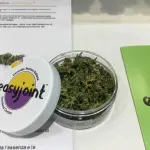 EasyJoint, la cannabis light nata a Parma sbarcherà in Canada