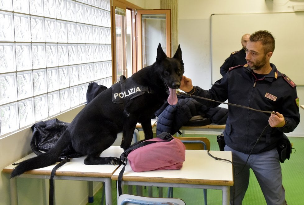 Parma, cani antidroga in tre scuole superiori della città