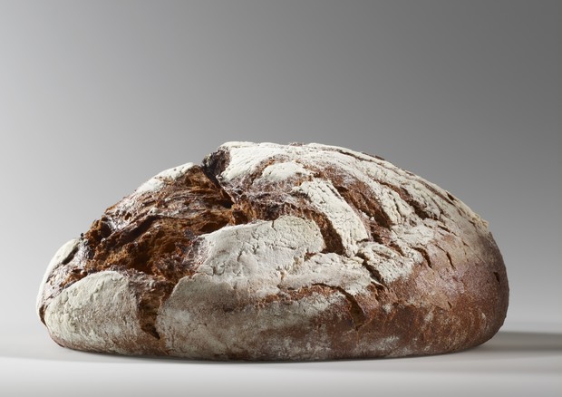 La crosta del pane accelera l'invecchiamento delle cellule?