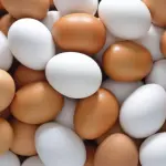 Salmonella nelle uova, altro ritiro del Ministero