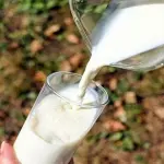 Latte e formaggi riducono la mortalità e i problemi cardiovascolari