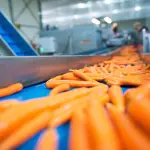 Co.Mark, export agroalimentare parmense +61% sul pre-Covid 